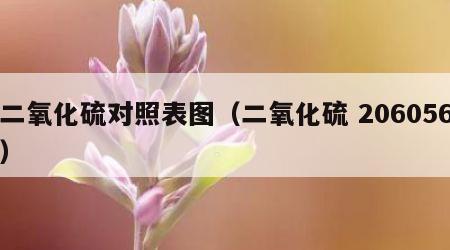 二氧化硫对照表图（二氧化硫 206056）