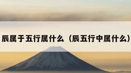 辰属于五行属什么（辰五行中属什么）