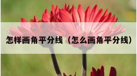 怎样画角平分线（怎么画角平分线）