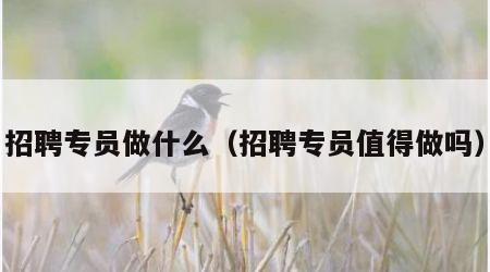 招聘专员做什么（招聘专员值得做吗）