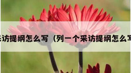 采访提纲怎么写（列一个采访提纲怎么写）