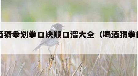 喝酒猜拳划拳口诀顺口溜大全（喝酒猜拳的口诀）