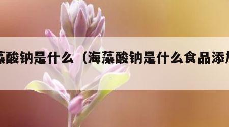 海藻酸钠是什么（海藻酸钠是什么食品添加剂）