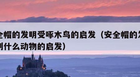 安全帽的发明受啄木鸟的启发（安全帽的发明受到什么动物的启发）