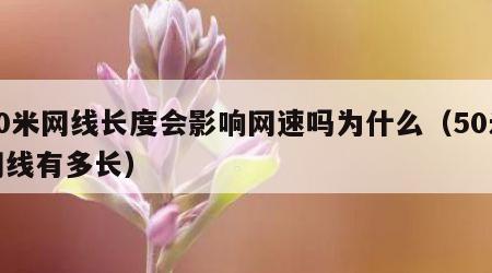 50米网线长度会影响网速吗为什么（50米网线有多长）