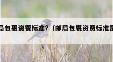 邮局包裹资费标准?（邮局包裹资费标准是什么）