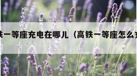 高铁一等座充电在哪儿（高铁一等座怎么充电?）