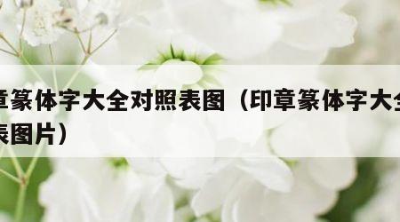 印章篆体字大全对照表图（印章篆体字大全对照表图片）