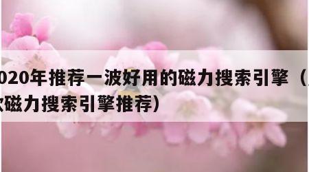 2020年推荐一波好用的磁力搜索引擎（几款磁力搜索引擎推荐）