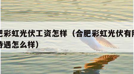 合肥彩虹光伏工资怎样（合肥彩虹光伏有限公司待遇怎么样）