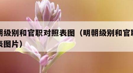 明朝级别和官职对照表图（明朝级别和官职对照表图片）