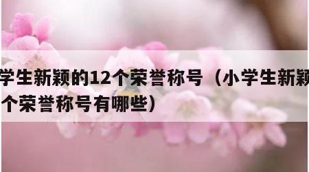 小学生新颖的12个荣誉称号（小学生新颖的12个荣誉称号有哪些）