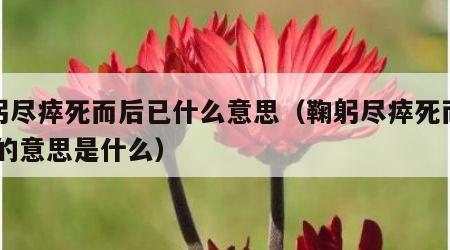 鞠躬尽瘁死而后已什么意思（鞠躬尽瘁死而后已,的意思是什么）
