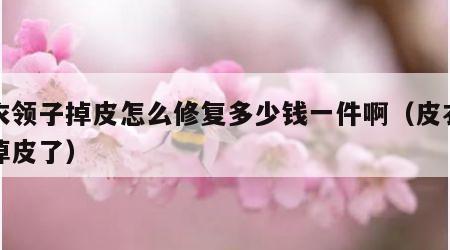 皮衣领子掉皮怎么修复多少钱一件啊（皮衣领子掉皮了）