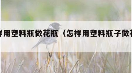 怎样用塑料瓶做花瓶（怎样用塑料瓶子做花瓶）
