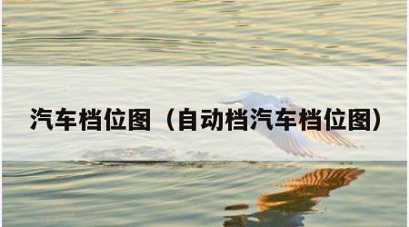 汽车档位图（自动档汽车档位图）