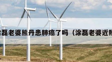 涂磊老婆熊丹患肺癌了吗（涂磊老婆近照）
