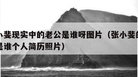 张小斐现实中的老公是谁呀图片（张小斐的老公是谁个人简历照片）