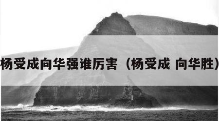 杨受成向华强谁厉害（杨受成 向华胜）