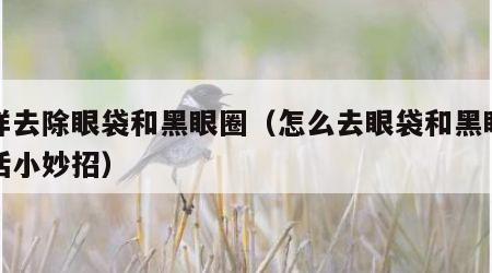 怎样去除眼袋和黑眼圈（怎么去眼袋和黑眼圈生活小妙招）