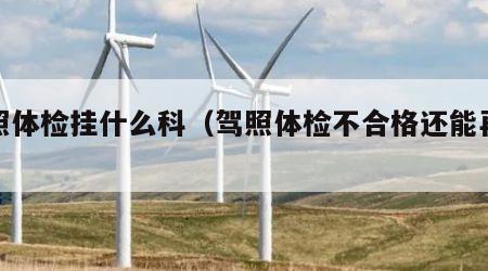 驾照体检挂什么科（驾照体检不合格还能再检吗）