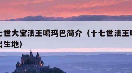 十七世大宝法王噶玛巴简介（十七世法王噶玛巴出生地）