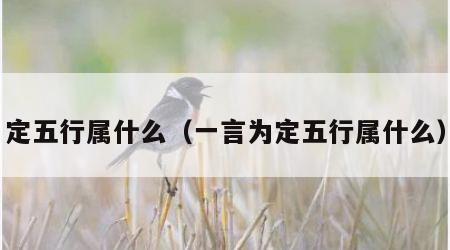 定五行属什么（一言为定五行属什么）