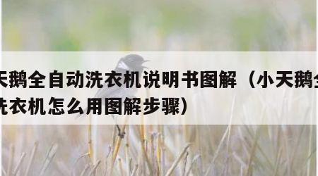 小天鹅全自动洗衣机说明书图解（小天鹅全自动洗衣机怎么用图解步骤）