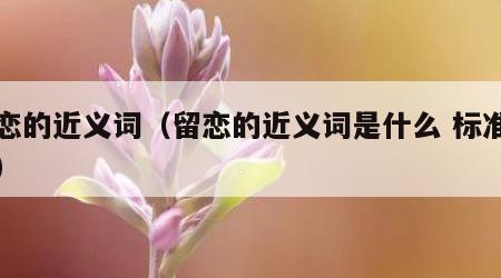 留恋的近义词（留恋的近义词是什么 标准答案）
