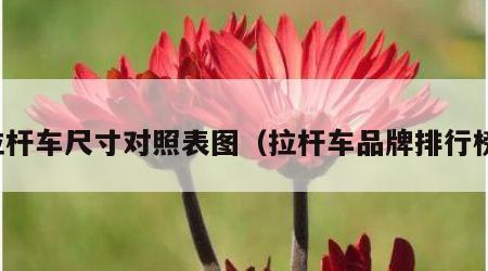 拉杆车尺寸对照表图（拉杆车品牌排行榜）