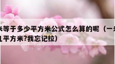 一米等于多少平方米公式怎么算的呢（一米等于几平方米?我忘记拉）