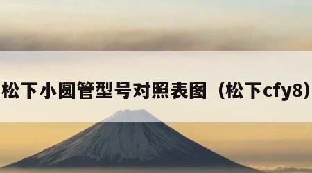 松下小圆管型号对照表图（松下cfy8）