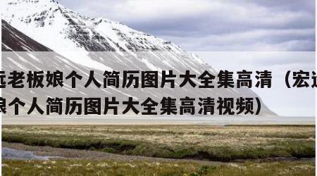 宏远老板娘个人简历图片大全集高清（宏远老板娘个人简历图片大全集高清视频）