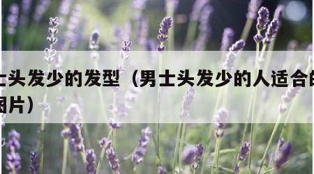 男士头发少的发型（男士头发少的人适合的发型图片）