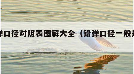 铅弹口径对照表图解大全（铅弹口径一般是多少）