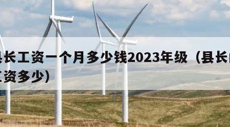 县长工资一个月多少钱2023年级（县长的工资多少）