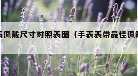 手表佩戴尺寸对照表图（手表表带最佳佩戴大小）