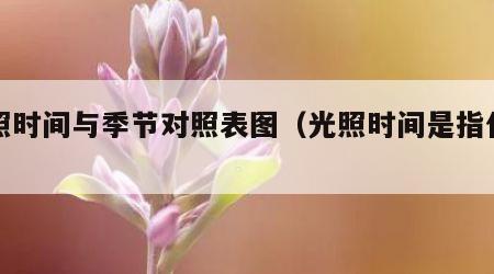 光照时间与季节对照表图（光照时间是指什么）