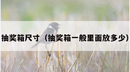 抽奖箱尺寸（抽奖箱一般里面放多少）