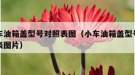 小车油箱盖型号对照表图（小车油箱盖型号对照表图片）
