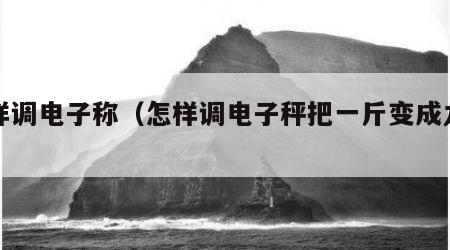 怎样调电子称（怎样调电子秤把一斤变成九两）