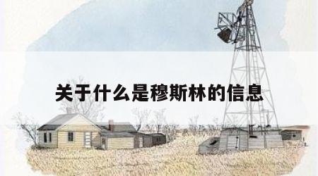关于什么是穆斯林的信息