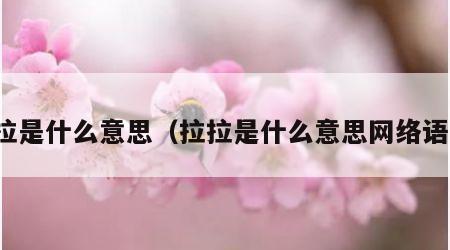 拉拉是什么意思（拉拉是什么意思网络语言）