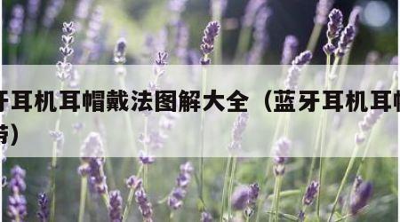 蓝牙耳机耳帽戴法图解大全（蓝牙耳机耳帽怎么带）