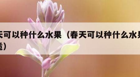 春天可以种什么水果（春天可以种什么水果最合适）