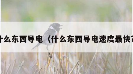什么东西导电（什么东西导电速度最快?）
