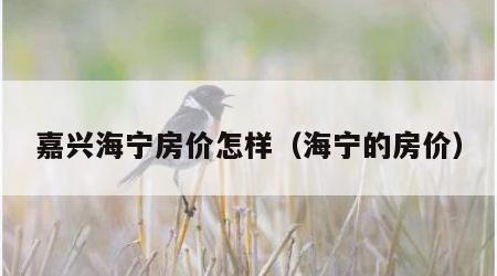 嘉兴海宁房价怎样（海宁的房价）