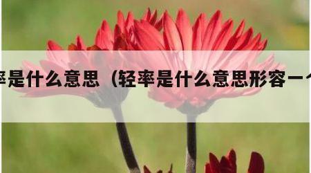 轻率是什么意思（轻率是什么意思形容一个人）