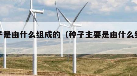 种子是由什么组成的（种子主要是由什么组成）