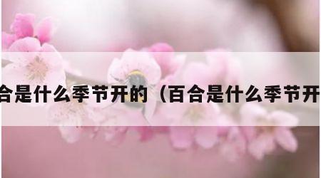 百合是什么季节开的（百合是什么季节开花）